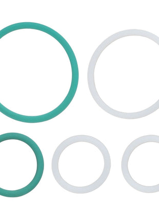 AGCO | SEAL KIT - F716100430020