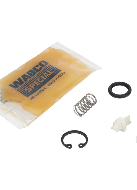 AGCO | VALVE KIT - AG723380