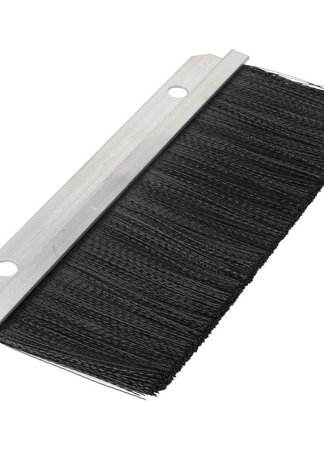 The AGCO Sealing Brush - Acw0155020 is a rectangular brush strip featuring black bristles and a metal backing, designed with two holes for mounting. No further product description is currently available.