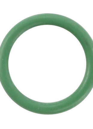 An AGCO O-Ring (Model: Acw1652950) is displayed against a plain white background. The green, circular rubber component features no visible markings. No current product description information is available.