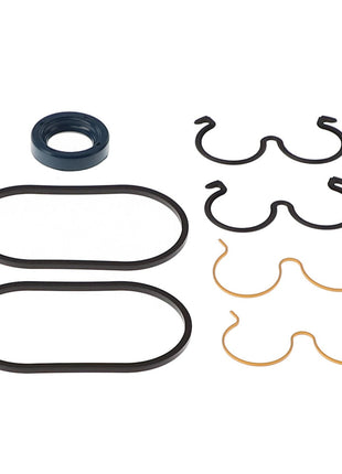 Unfortunately, there is no current product description information available for AGCO's Seal Kit - Acx2179000. However, the assortment of various black and gold O-rings and seals is displayed neatly on a white background.