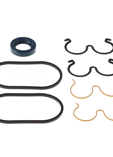 Unfortunately, there is no current product description information available for AGCO's Seal Kit - Acx2179000. However, the assortment of various black and gold O-rings and seals is displayed neatly on a white background.