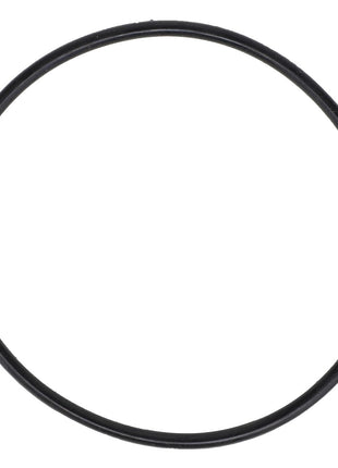 A black circular rubber O-ring, identified as AGCO | O-RING - AG610748 from the brand AGCO, sits on a white background. No further specifications are available.