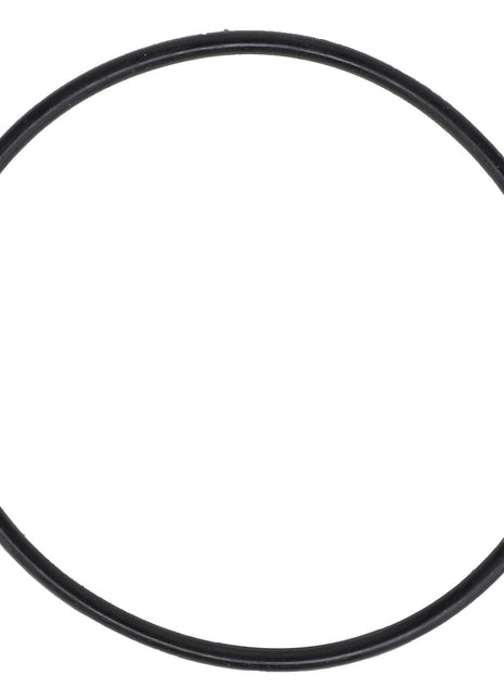 A black circular rubber O-ring, identified as AGCO | O-RING - AG610748 from the brand AGCO, sits on a white background. No further specifications are available.