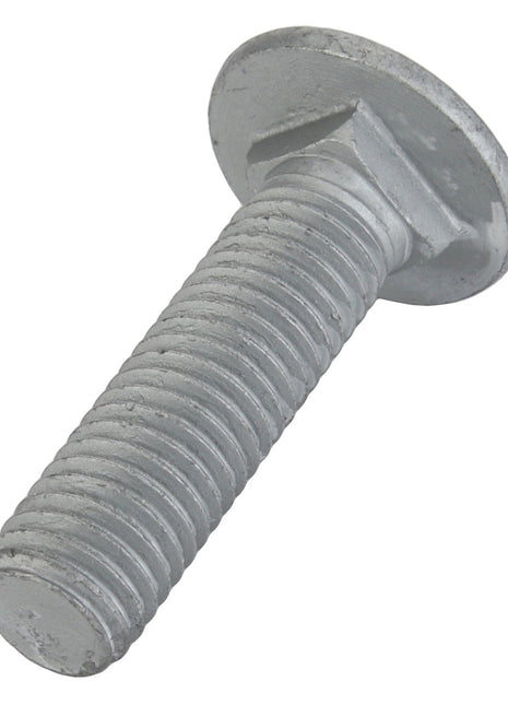 Close-up of a sleek AGCO Round Head Square Neck Carriage Bolt - Acw1059470, featuring a silver metal finish with a round, flat head and threaded shaft, positioned diagonally against a plain white background.
