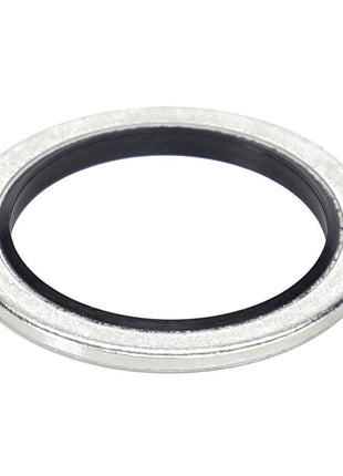 The AGCO | SEAL - D45420100, featuring a sleek silver metal washer highlighted by a black inner rubber ring, rests elegantly on a pristine white background.