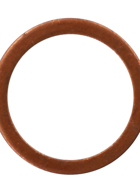 A Gasket - Va023264 from AGCO, featuring a round copper washer, is displayed against a plain white background. No current product description available for reference.