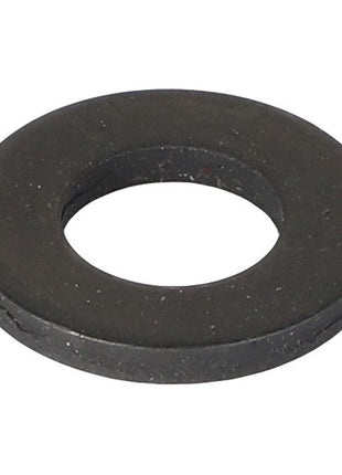 AGCO | FLAT WASHER - CH6V-5839