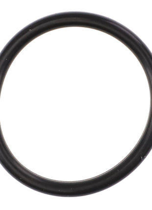 A close-up of the AGCO O RING - AL5050388 reveals fine details and texture, though no current product description information is available.