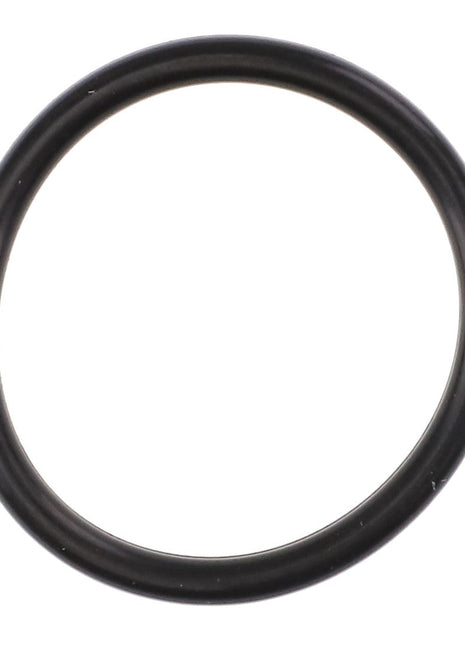 A close-up of the AGCO O RING - AL5050388 reveals fine details and texture, though no current product description information is available.