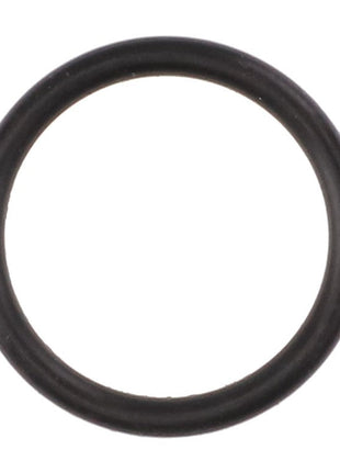 A close-up view of an AGCO black rubber O-ring (AL519041) on a white background. Further product description information is currently unavailable.