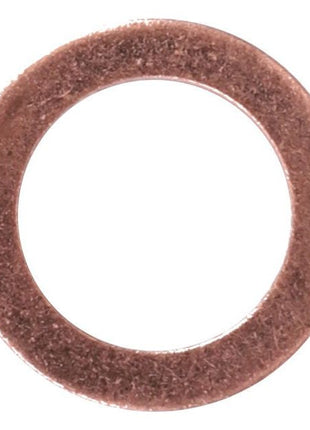 AGCO | Sealing Washer - X540003878000 - Massey Tractor Parts