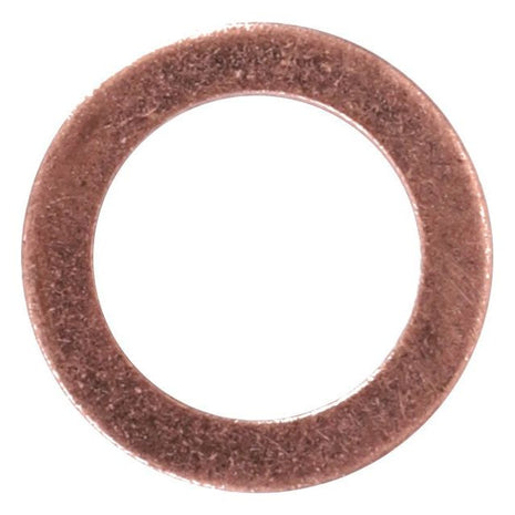 AGCO | Sealing Washer - X540003878000 - Massey Tractor Parts