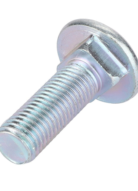AGCO | Round Head Square Neck Carriage Bolt - Acw0294570 with a round, flat head and meticulously threaded body against a pristine white background.