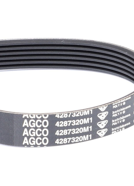 AGCO | Serpentine Belt, Pk6 Profile - 4287320M1 - Massey Tractor Parts