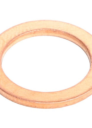 AGCO | Sealing Ring - 1118693 - Farming Parts