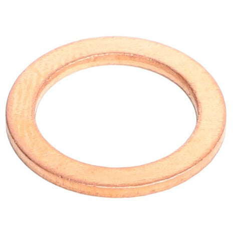 AGCO | Sealing Ring - 1118693 - Farming Parts