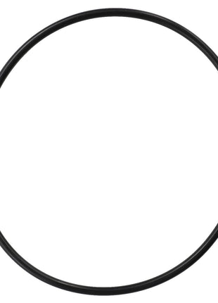 AGCO | O-RING - F743300021620