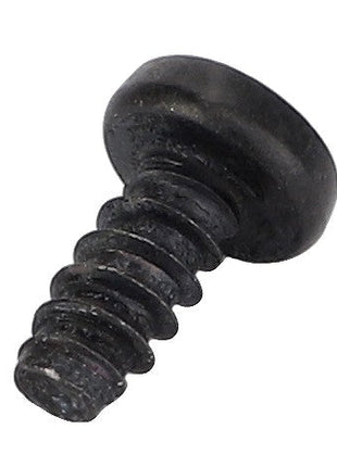 AGCO | Self-Tapping Screw - Acw1027060 - Farming Parts