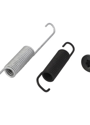 Two coiled metal springs, one metallic and one black, are placed side by side. A black screw with a purple ring around its threads is positioned to the right of the springs. These items are part of the AGCO SMALL PARTS KIT - F930500030670 from AGCO.