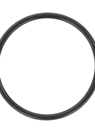 A black circular rubber O-ring, the AGCO | O-Ring, Steering Cylinder - 1884795M1, made from high-quality materials, is viewed from above against a white background. It showcases genuine AGCO O-ring seals with impeccable manufacturing consistency.