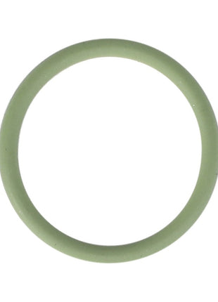 A green circular silicone ring (Product Name: AGCO | O-RING - F926202710900, Brand Name: AGCO), with no current product description information available, isolated on a white background.