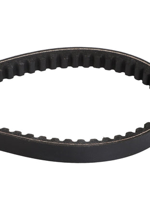 A close-up image of the AGCO V-Belt (Model: D41929100), made from black ribbed rubber and looped in a teardrop shape, is available.