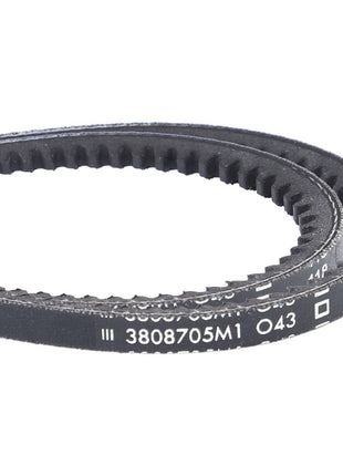 AGCO | V-Belt, Sold As A Matched Pair - 3808705M1 - Massey Tractor Parts