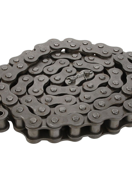 The AGCO Chain Feeder Transmission - D28273942, made from high-quality quenched and tempered steels, is a coiled metal roller chain with interlocking links that is commonly used in mechanical transmissions and bicycles.