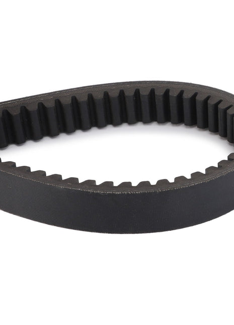 Close-up of the Genuine AGCO Drive V Belt, Variator (D26746997), featured in black with a V-shape and teeth on the inner side, designed for precise synchronization in machinery or automotive engines. Achieve unmatched performance and meet exact specifications with this high-quality AGCO product.