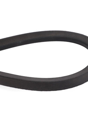 AGCO | Drive Belt, Beater - D41990007 - Massey Tractor Parts