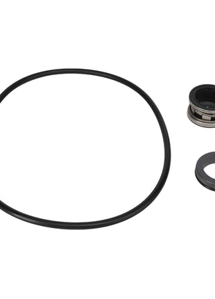 AGCO's SEAL KIT - AG427358, featuring a high-quality mechanical seal set that includes an O-ring, a seal ring with metal components, and a rubber gasket ring, all displayed on a white background.