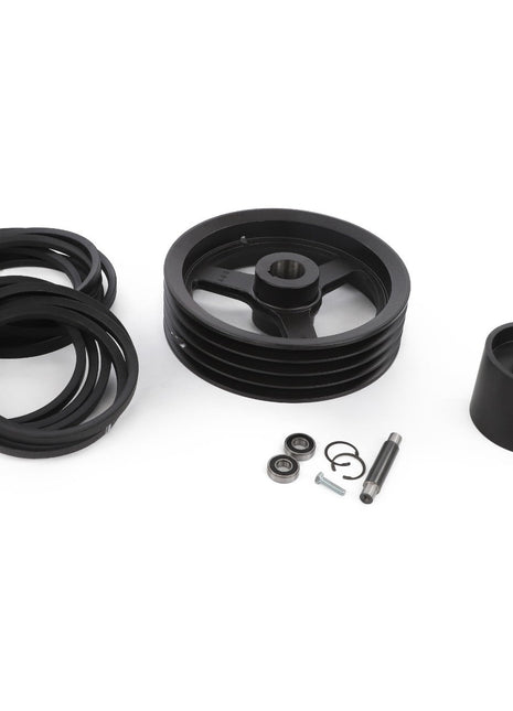 The AGCO Threshing Drum Speed Reducer D28085775 set includes multiple rubber belts, small circular components, and a metal pin, all neatly arranged on a white background.