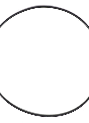 AGCO | O-RING - AG602787