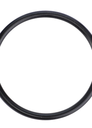 AGCO | O-Ring, Planetary Drive - F380306020260 - Farming Parts