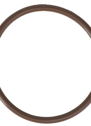 A brown rubber O-ring (AGCO | Gasket - Ag052953) isolated on a white background, with no product description available.