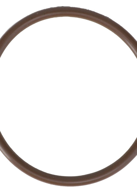 A brown rubber O-ring (AGCO | Gasket - Ag052953) isolated on a white background, with no product description available.