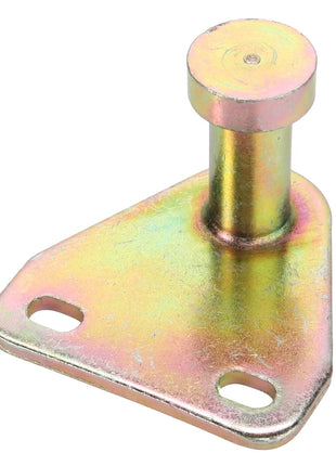 AGCO | PIN - D43419700