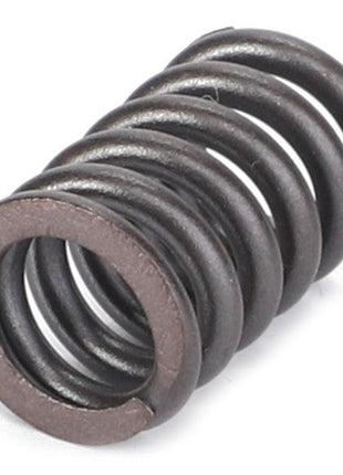 Close-up image of the AGCO | SPRING - AL516113, a tightly wound, cylindrical metal compression spring by AGCO. No current product description information available.