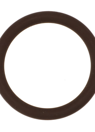 A simple black rubber O-ring on a white background, identified as AGCO | O-RING - AG059866 from the brand AGCO.