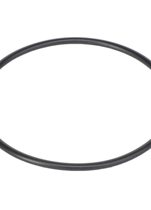 An AGCO O-Ring Seal - F530200710540, meticulously positioned on a pristine white background.
