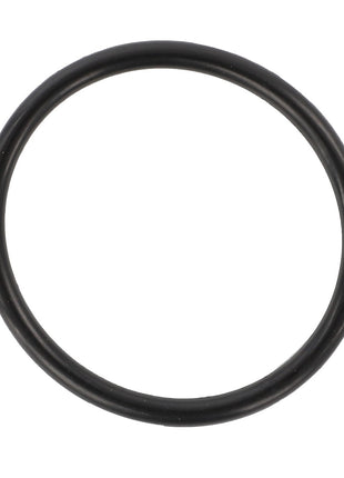 AGCO | O-Ring - F334310020100