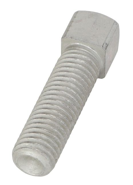 AGCO | Cup Point Square Head Set Screw - 3009640X1 - Farming Parts