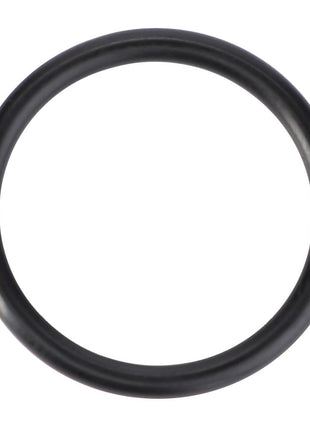 AGCO | O-Ring, Female Coupler, Ø 19,30 X 2,20 Mm - Acp0230500 - Farming Parts