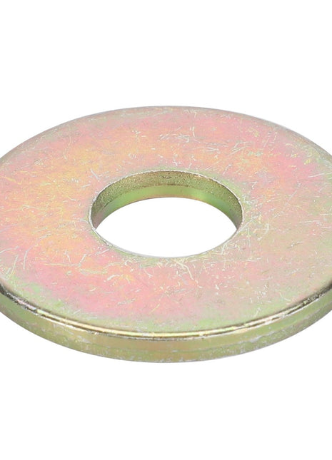 AGCO | FLAT WASHER - D20400416