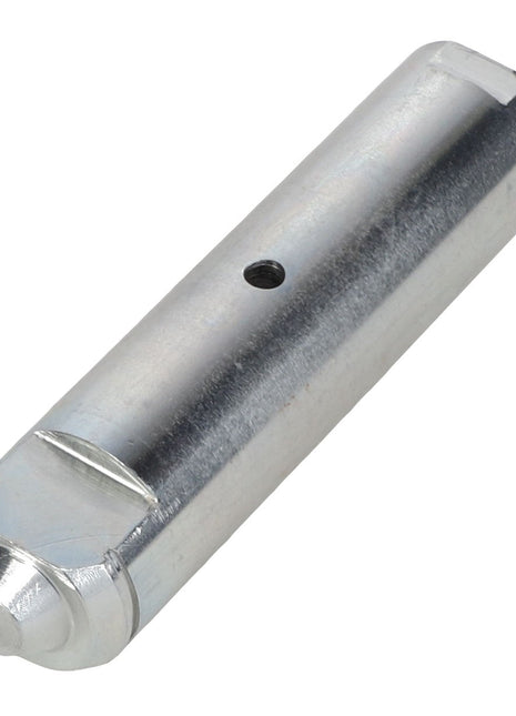 AGCO | PIN - ACP0410490