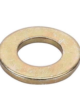 AGCO | FLAT WASHER - D20400413 is a metallic flat washer featuring a round hole in the center; no current product description information available.
