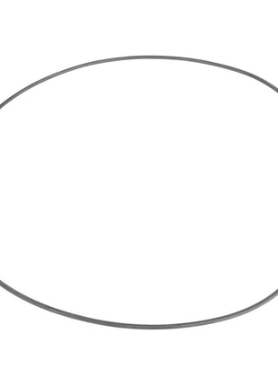 Introducing the AGCO | O-Ring - AG726346: A high-performance, black circular belt set against a white background.