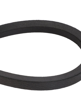 The AGCO | V BELT - D41990008 from AGCO is displayed in a loop. No current product description information is available for this item.