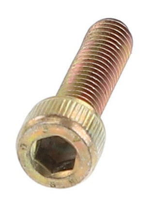 No current product description available: A close-up view of the AGCO | Hex Socket Screw - Va021394 with a metallic finish.